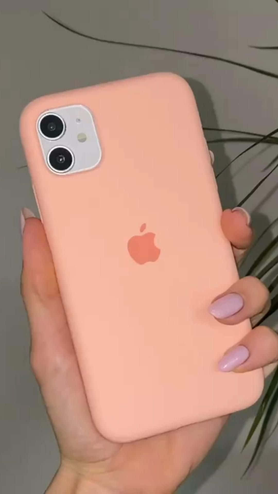 Poze iPhone 12 Fundal