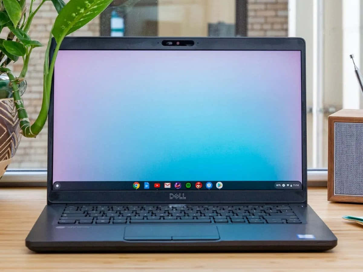 Prezentarea Chromebook: Un laptop accesibil și rafinat Fundal