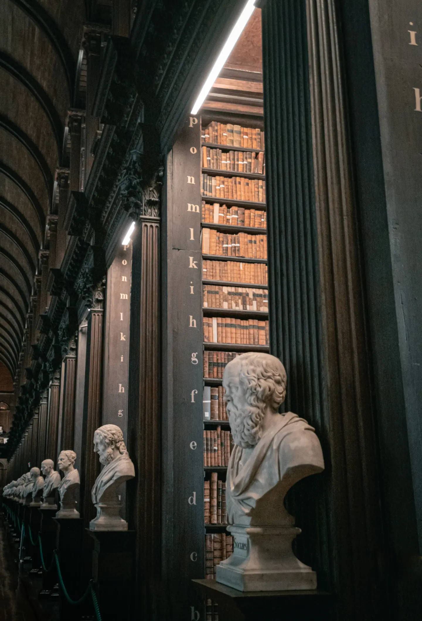 Privire Fascinantă asupra unei Biblioteci cu Estetică Dark Academia Fundal