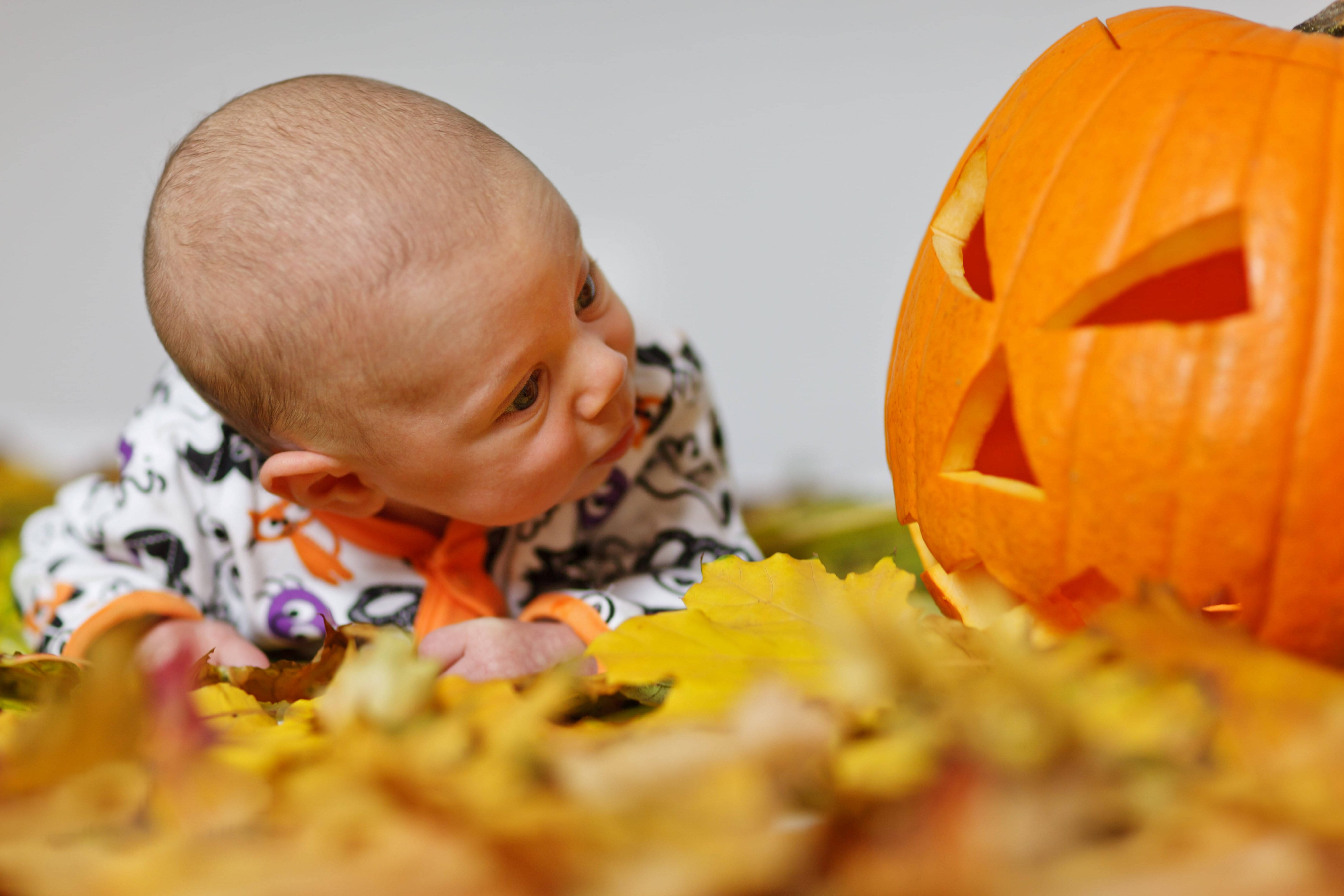 Privirea drăguță de Halloween a bebelușului cu dovleac Fundal