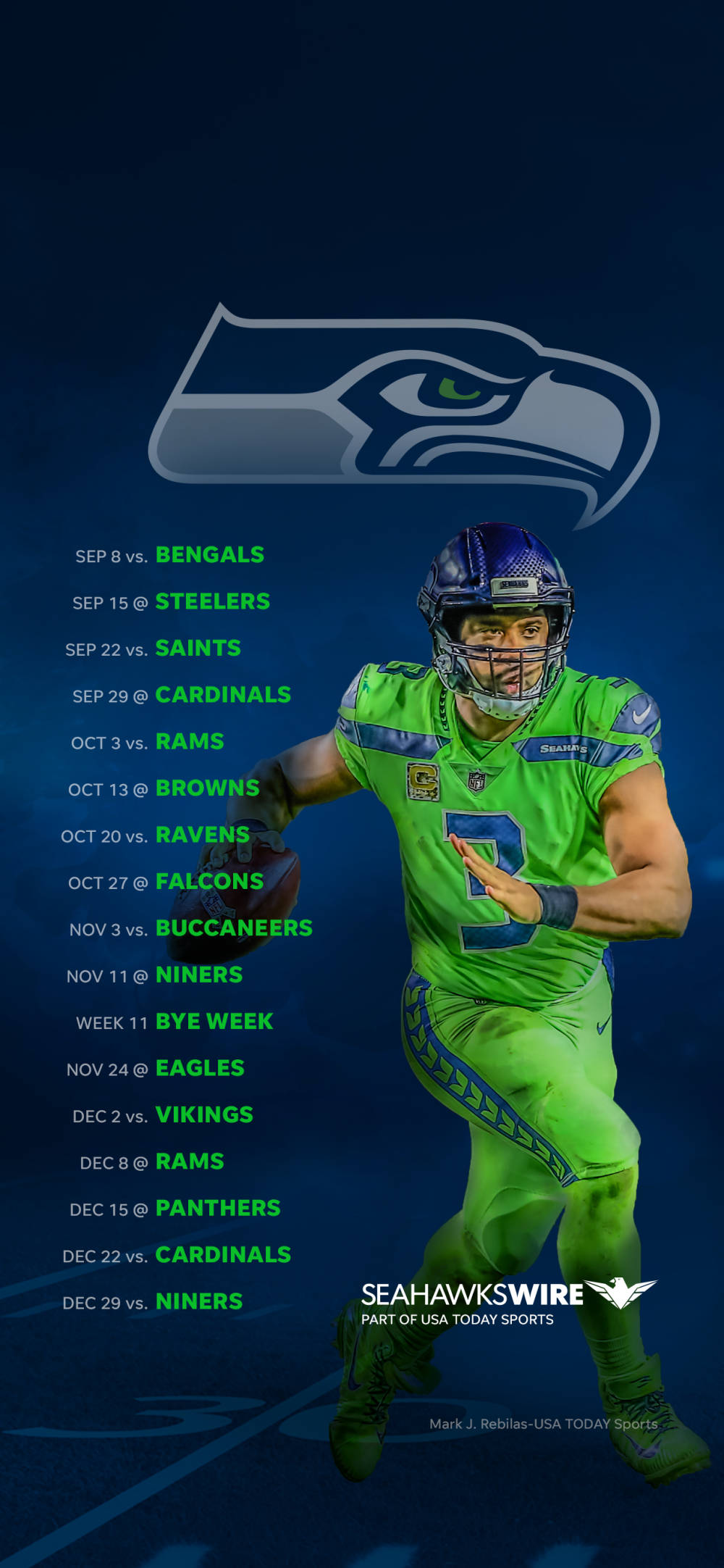 Programul Seattle Seahawks Fundal