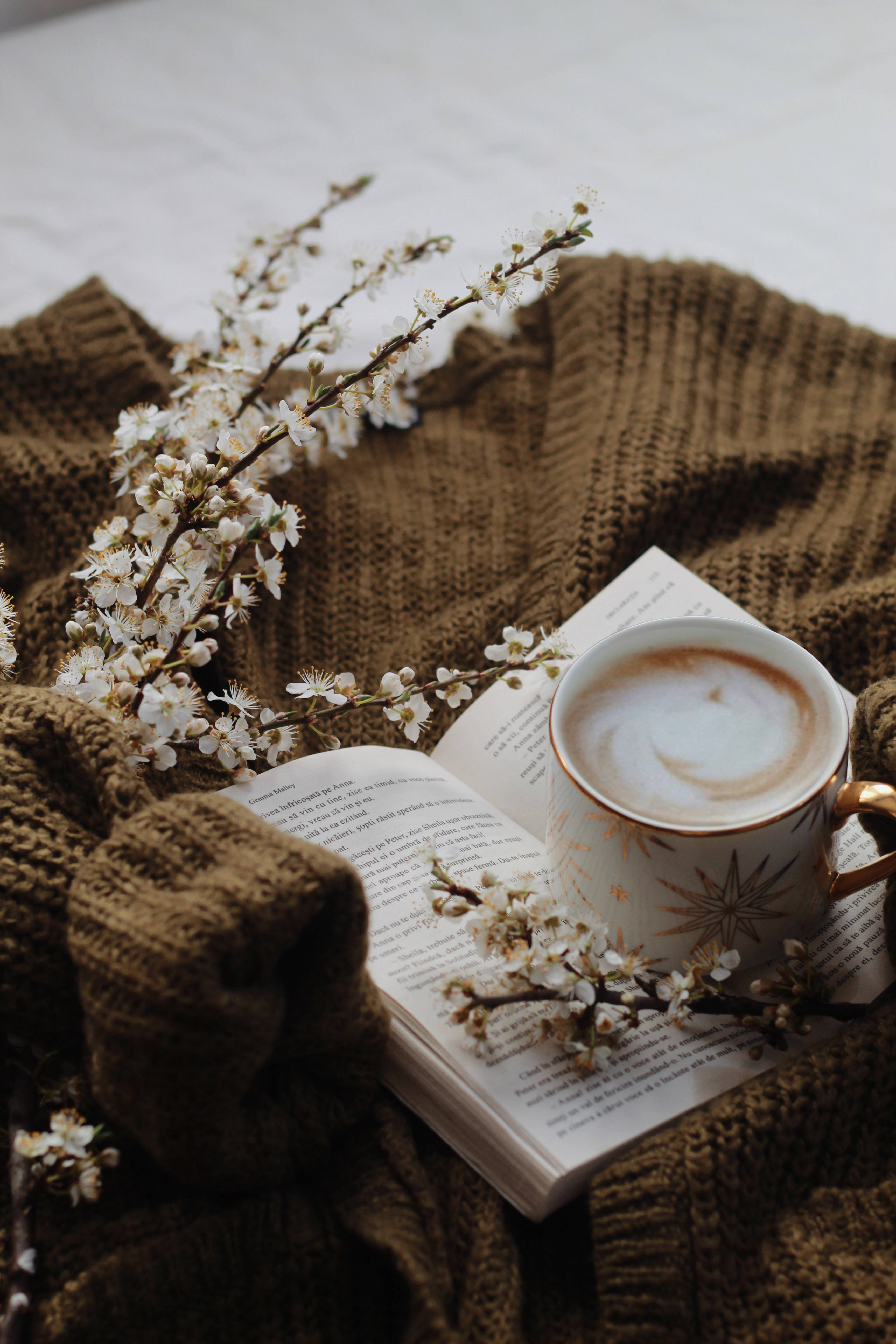Pulover preppy cu cafea Fundal