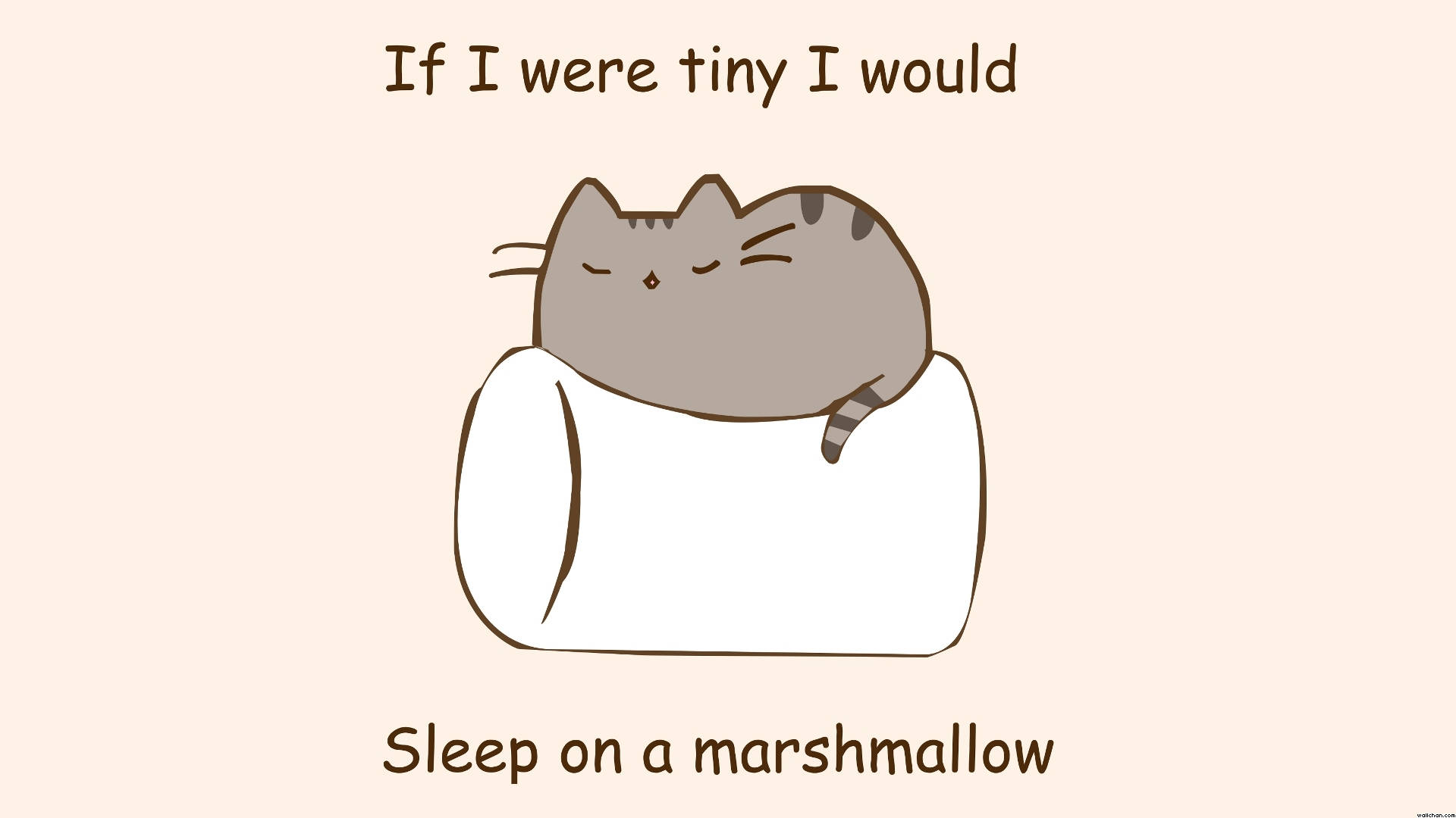 Pusheen Dormind pe Bezeaua Fundal