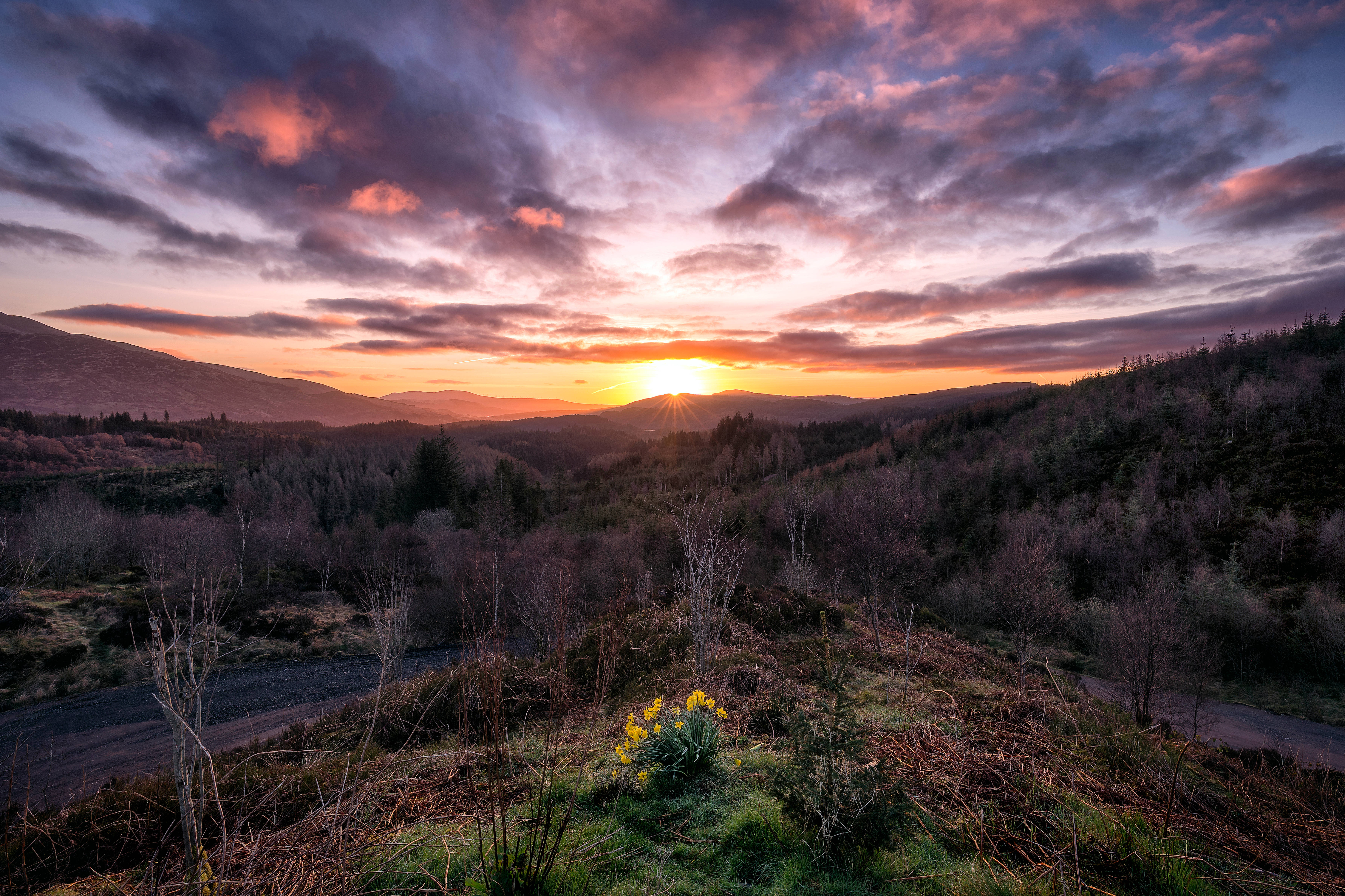 Răsăritul încântător al Parcului Trossachs în Scoția Fundal