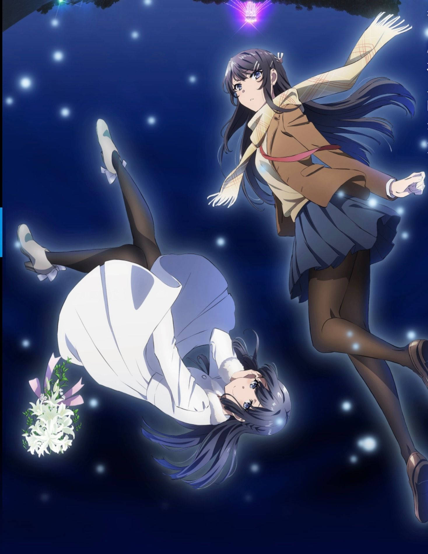 Rascal Does Not Dream Of Bunny Girl Senpai Shoko și Mai Fundal