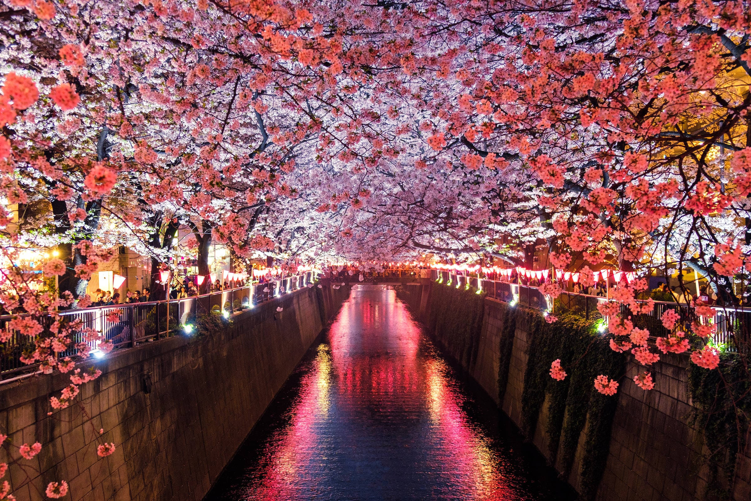 Râul Meguro și Florile de Cireș în HD Japonez Fundal
