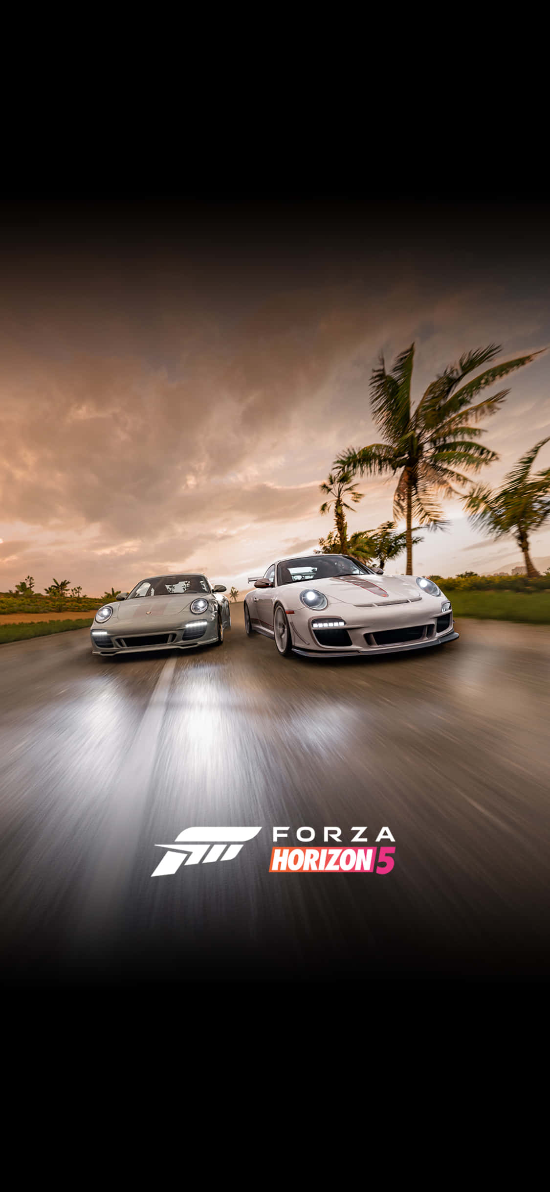 Ravensburger Porsche iPhone X Forza Motorsport 7 Background Fundal