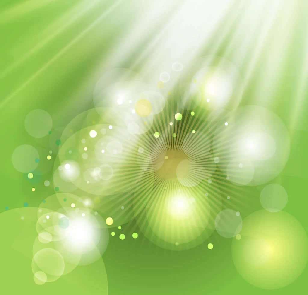 Raze de soare cu efecte bokeh pe fundal verde deschis Fundal