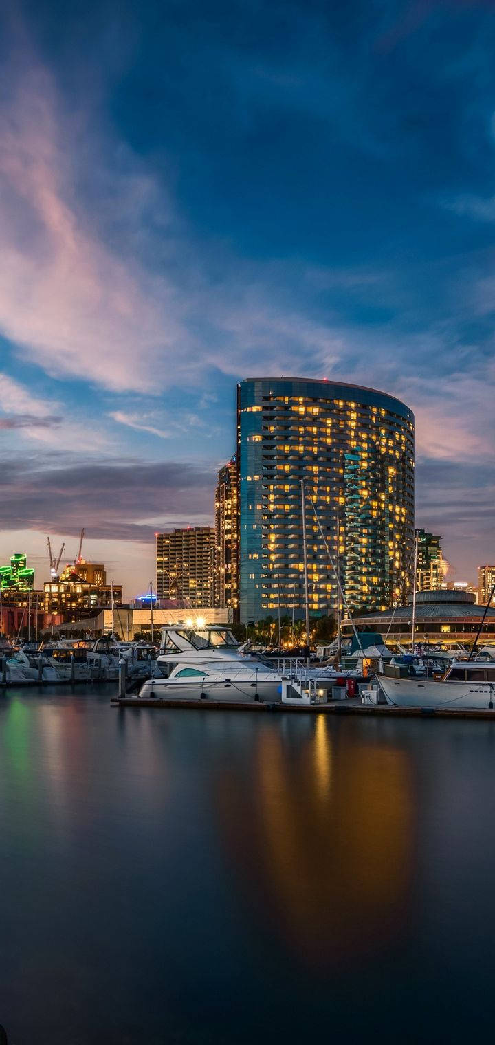 Realme Golful San Diego Fundal