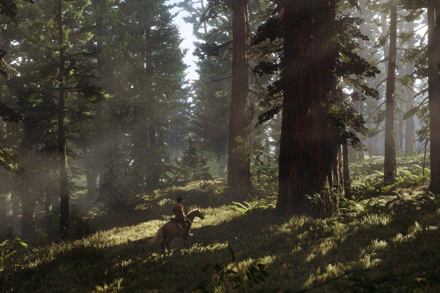 Red Dead Redemption 2 4K Pădure Fundal