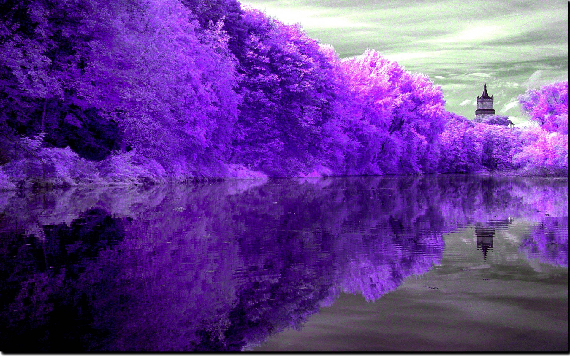 Reflectarea Lacului Violet Fundal
