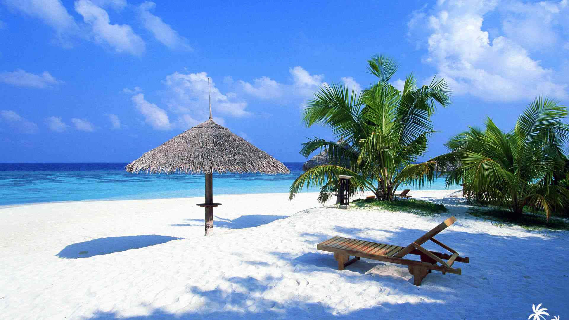 Relaxare plajă de vară drăguță Fundal