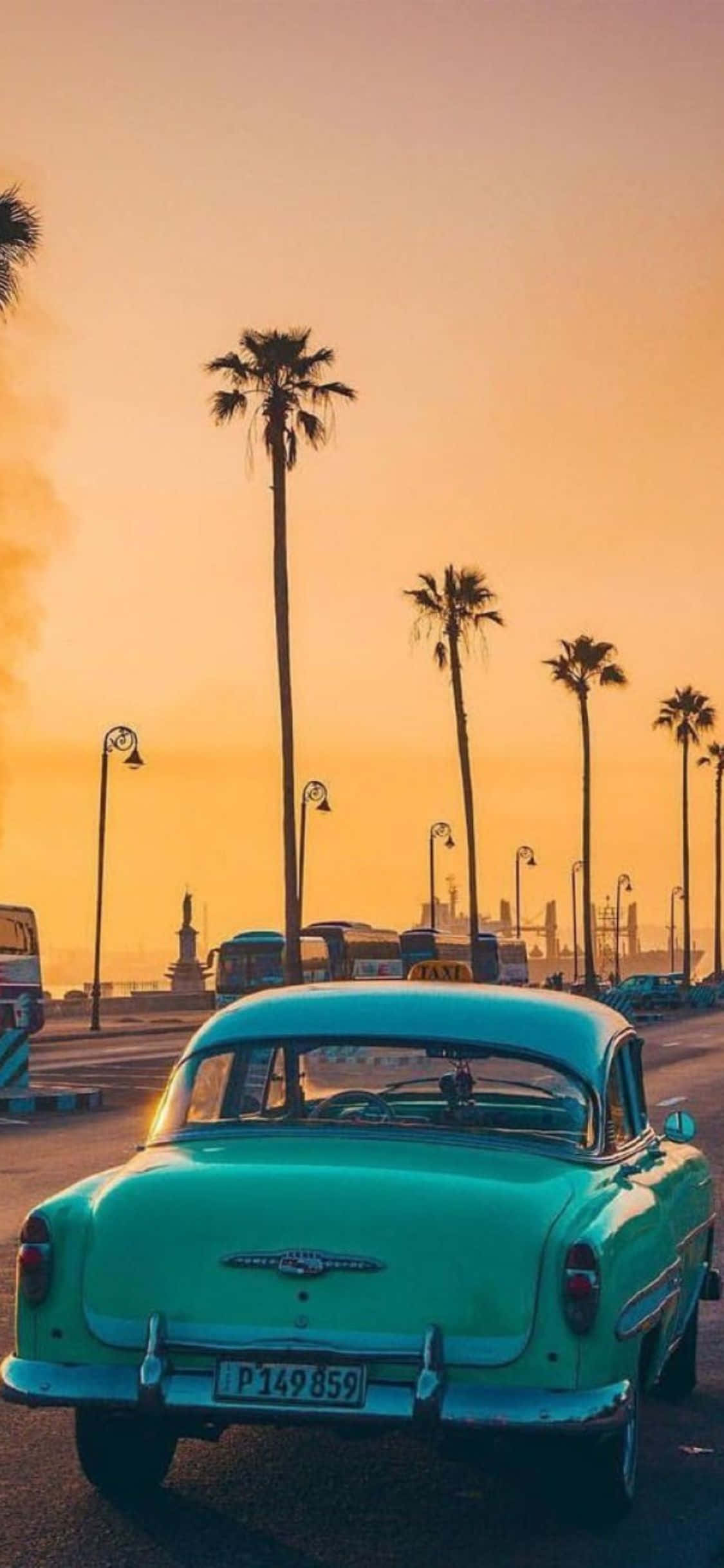 Reprezentând natura relaxată și lipsită de grijii a Californii Fundal