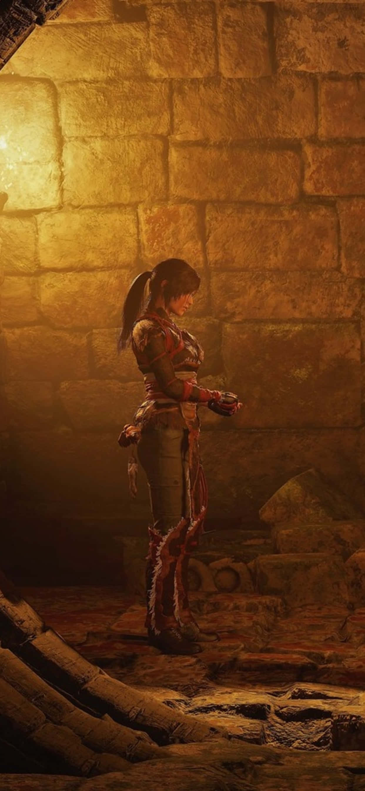 Ridică-te deasupra umbrelor - Pixel 3 & Shadow Of the Tomb Raider Fundal