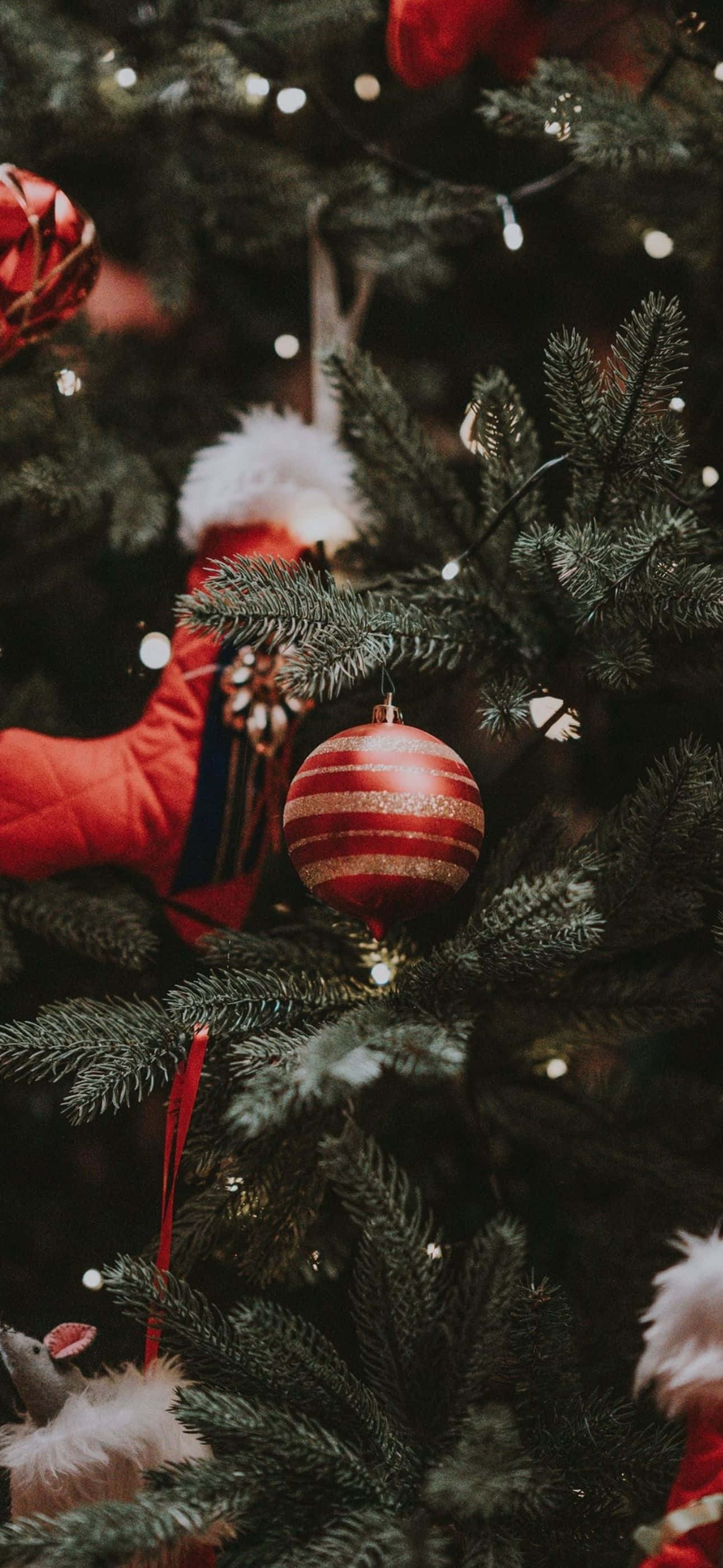 Să sărbătorești sezonul Crăciunului cu acest fundal iPhone frumos și festiv. Fundal
