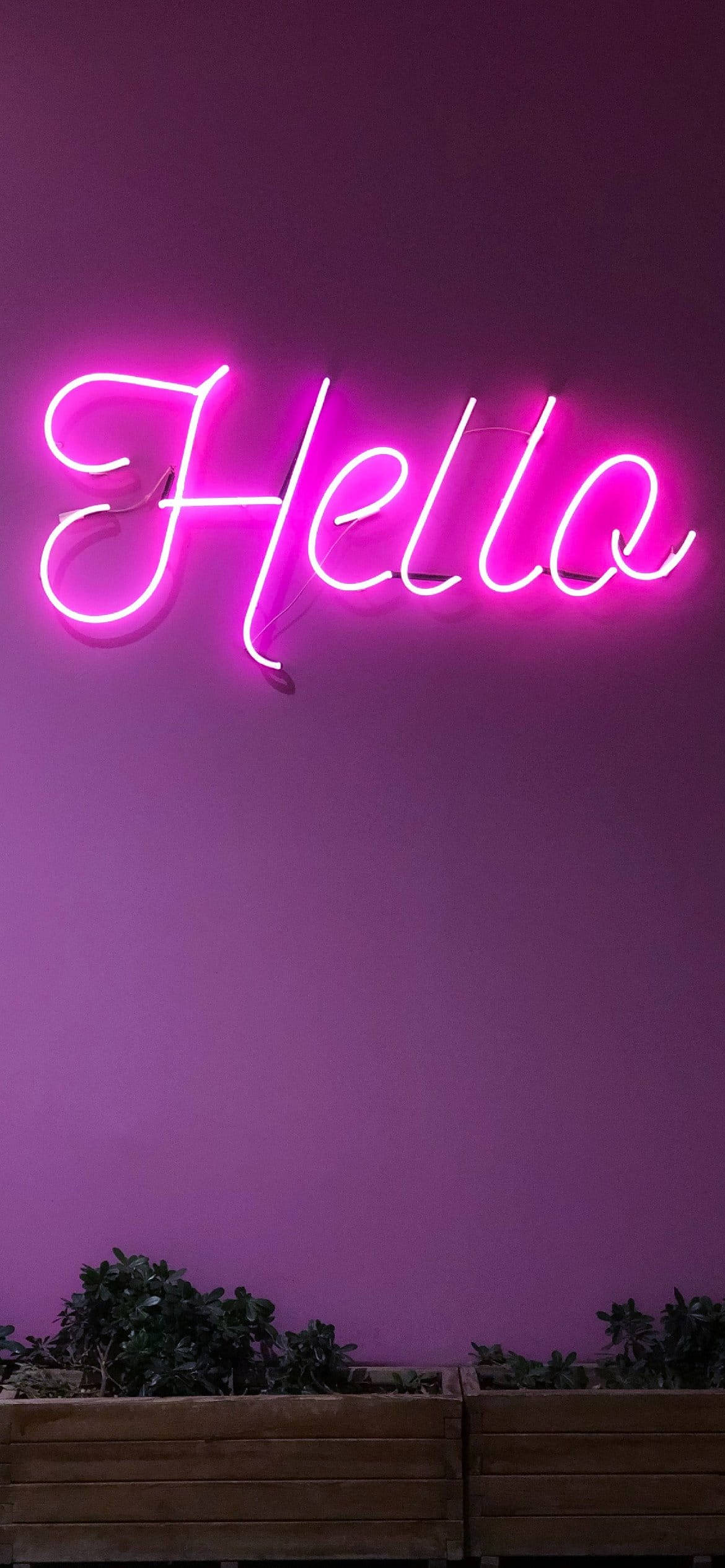 Salut estetic mov deschis în neon Fundal