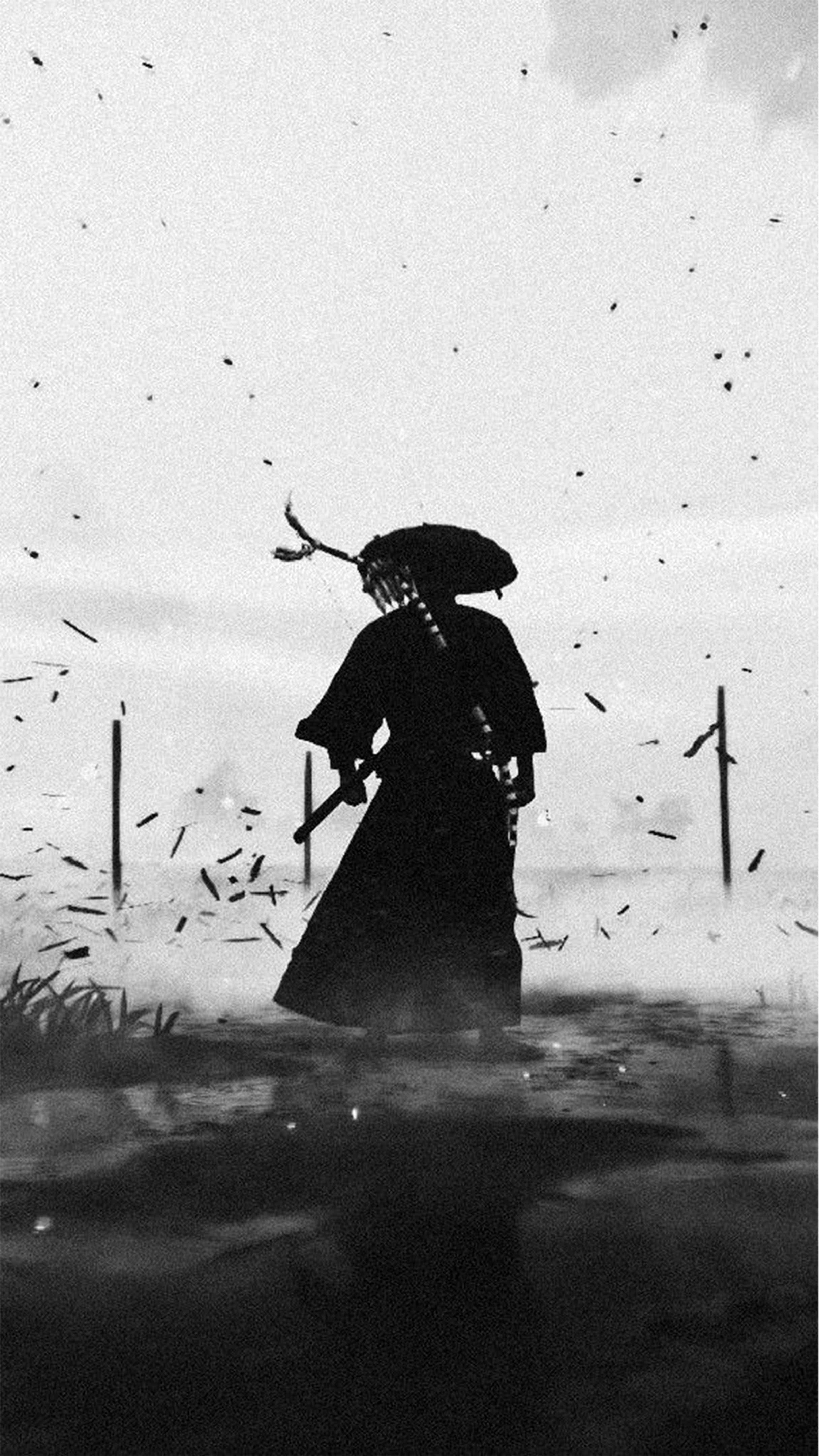 Samurai din spate Fundal