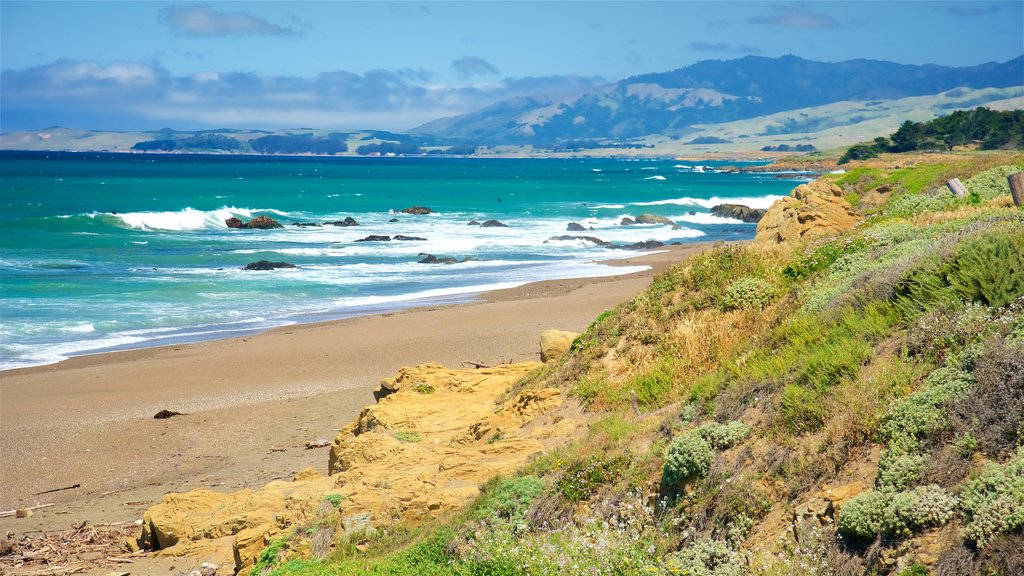San Simeon Plantație de Litoral Fundal