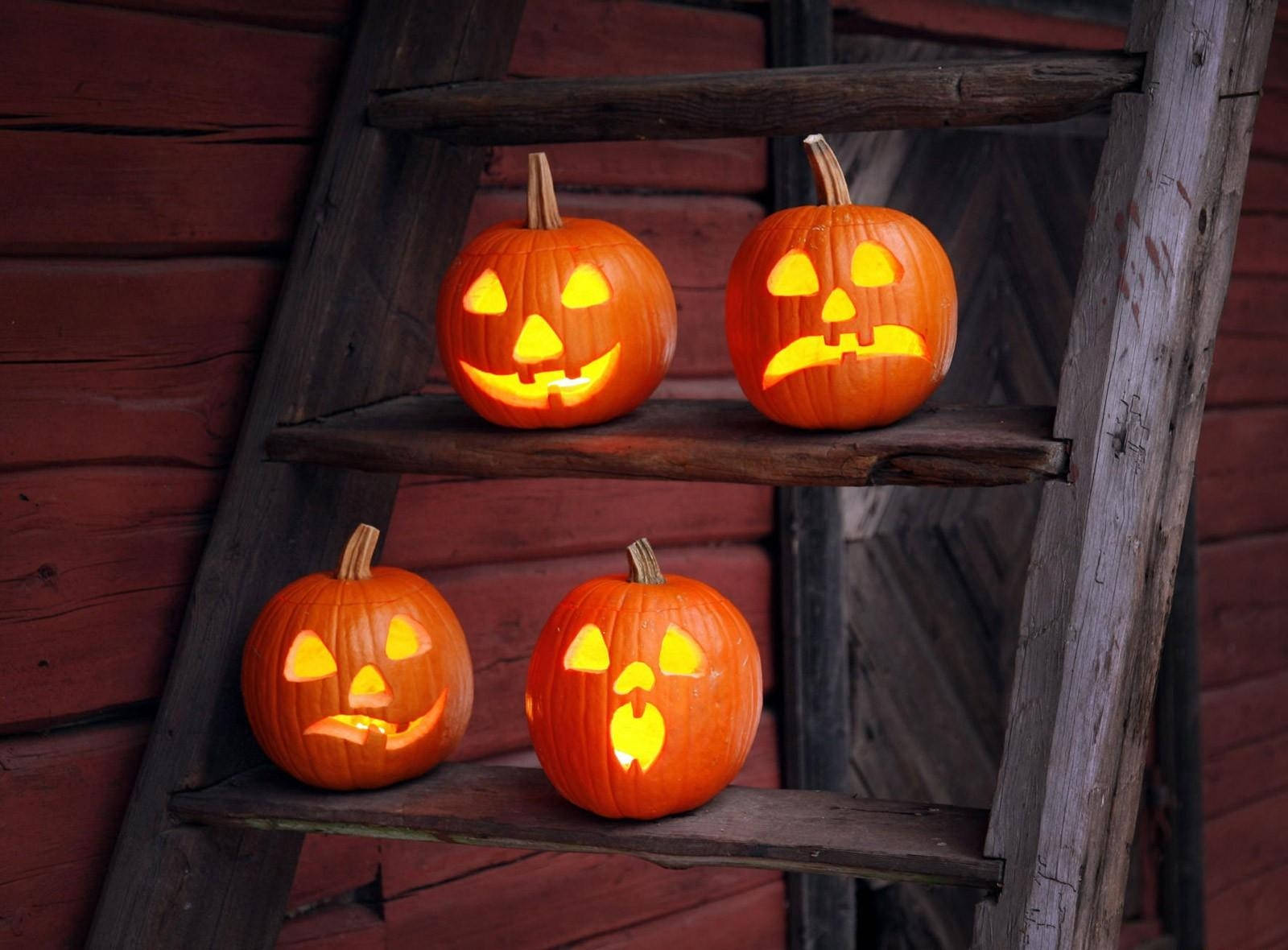 Sărbătorește Halloween-ul cu dovleci amuzanți și haioși Fundal