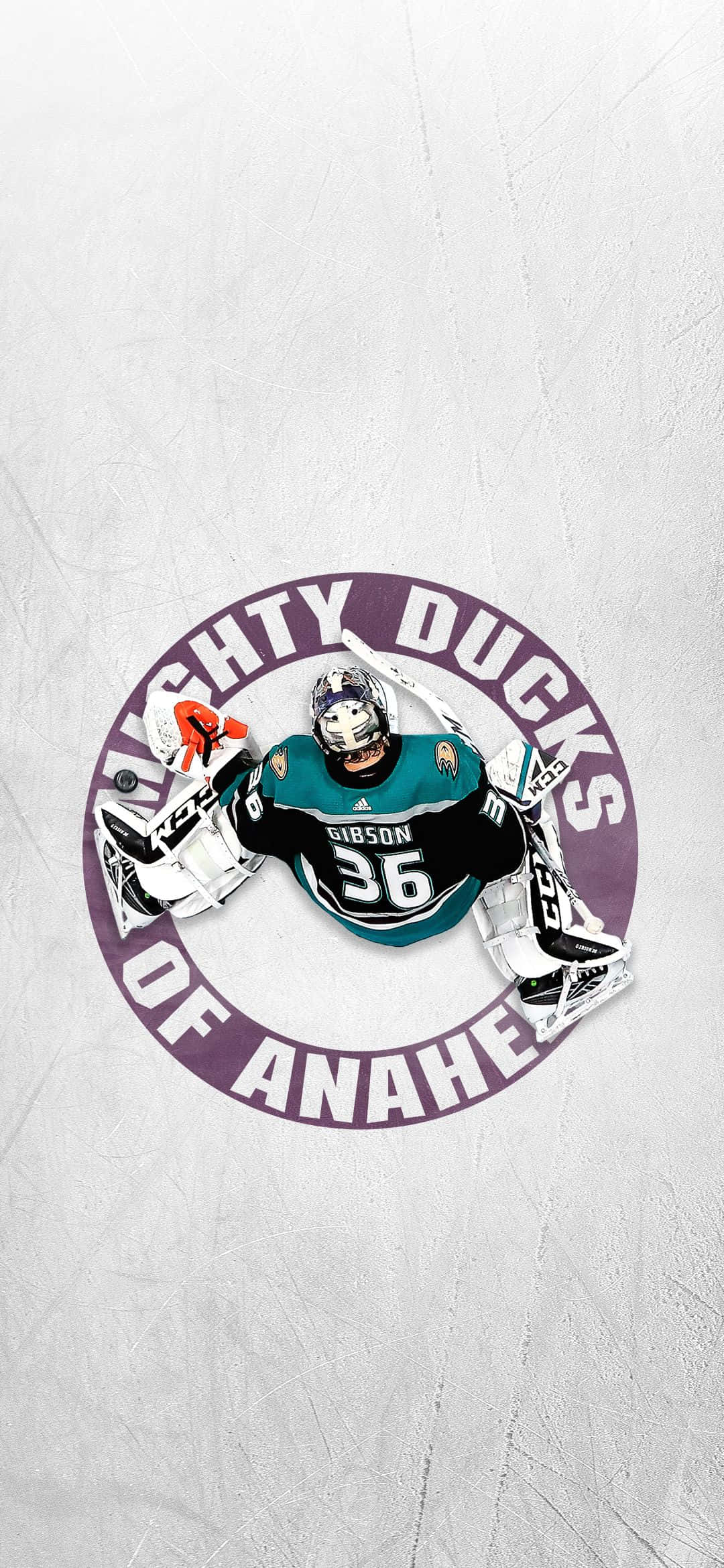 Sărbătorim încă una victorie alături de Anaheim Ducks Fundal