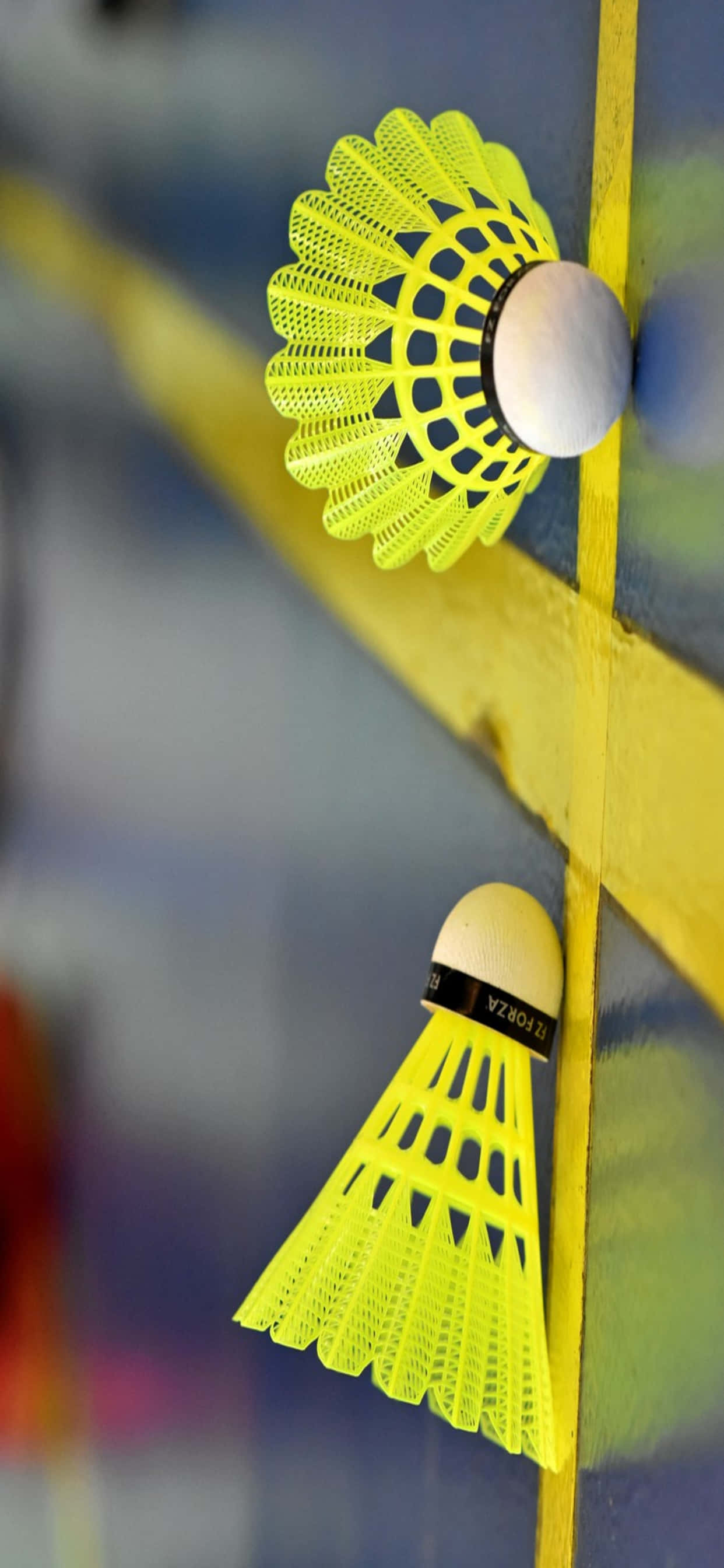Sărbătorirea victoriei după un meci de badminton palpitant Fundal