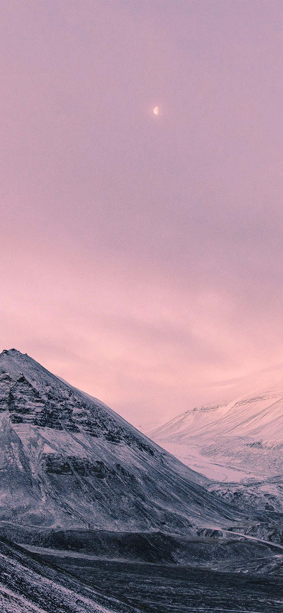 Scenă de Pădure Eterică pentru iPhone X Fundal