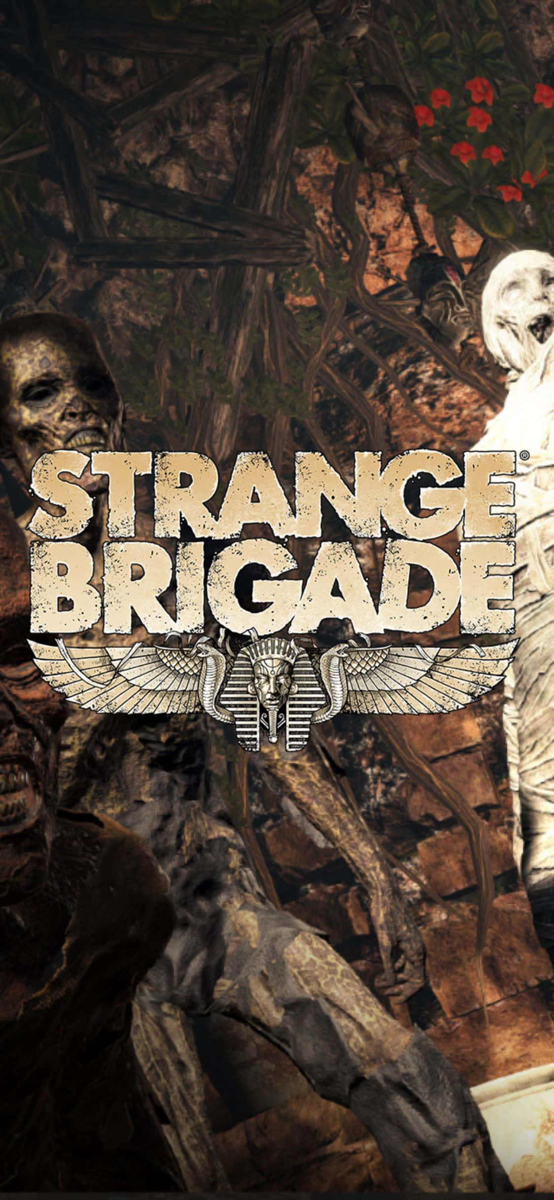 Schelete Zombie Înfricoșătoare iPhone X Strange Brigade Fundal
