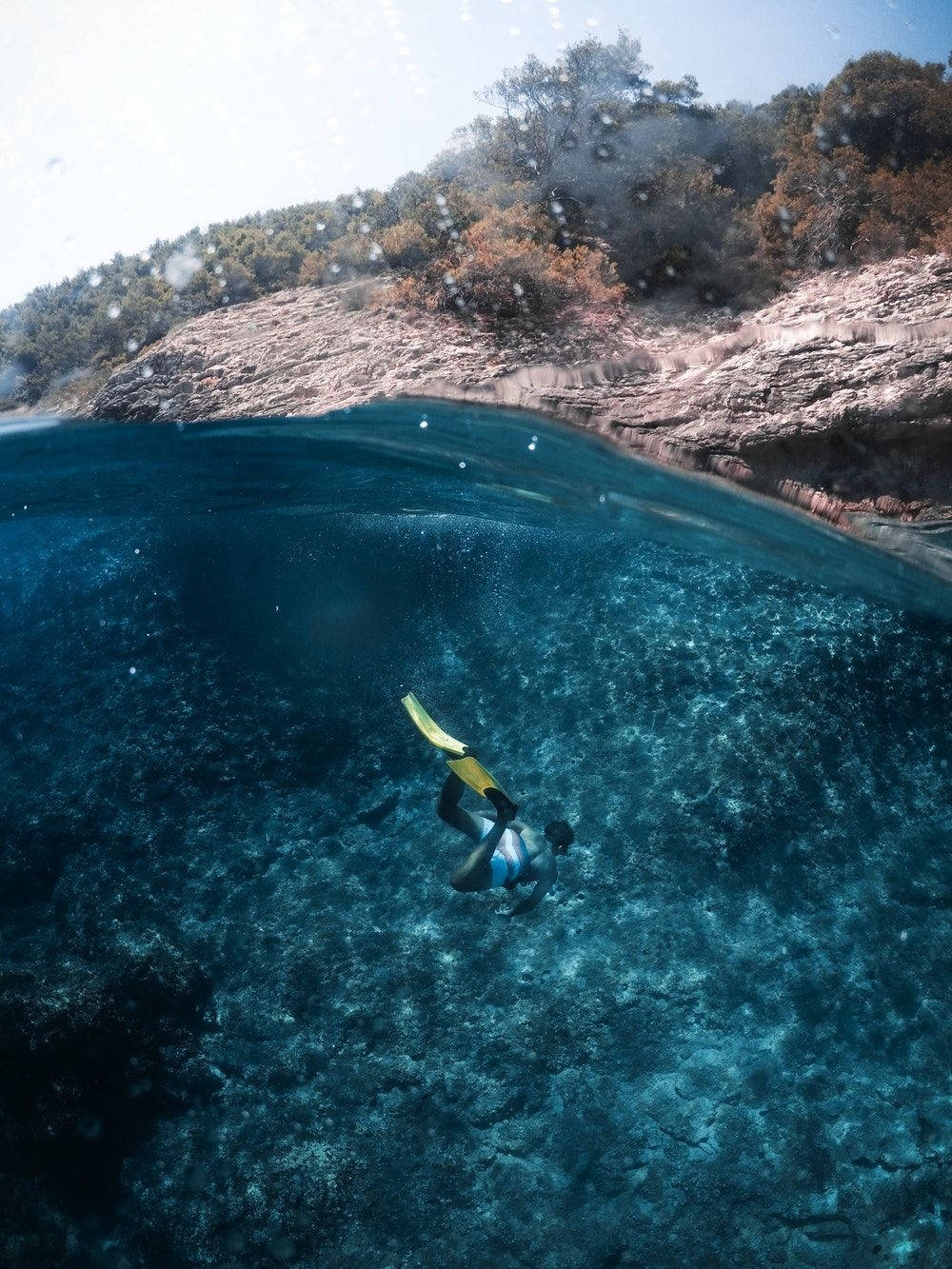 Scuba Diving iPad Mini Fundal
