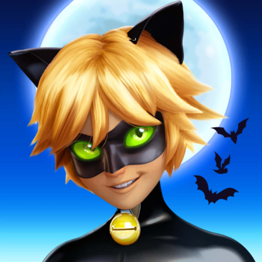 "Seductoasa Cat Noir" Fundal