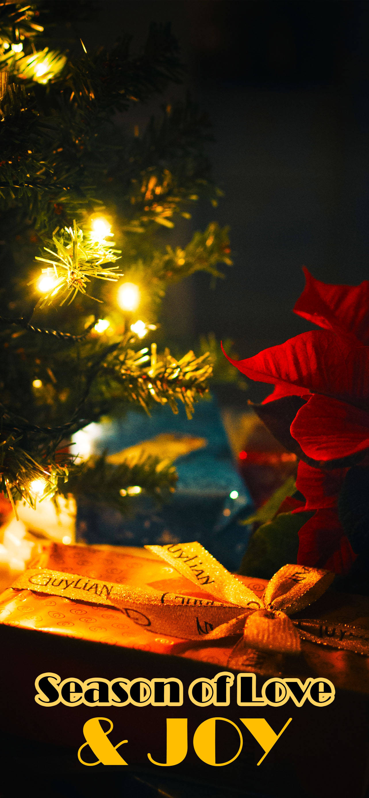 Sezonul Sărbătorilor din Decembrie Fundal