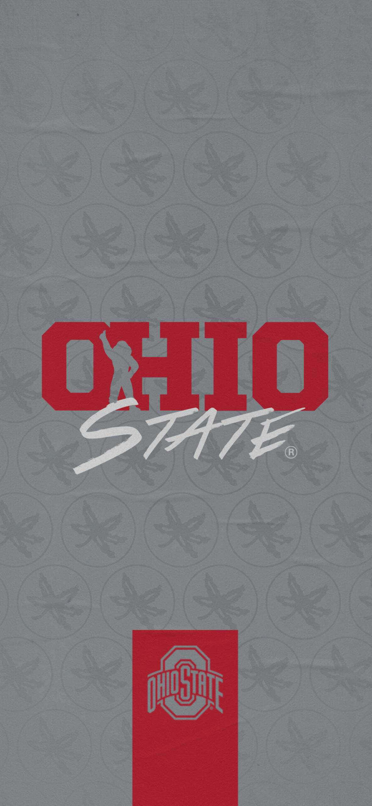Show your spirit—Ohio State Football on iPhone Fundal