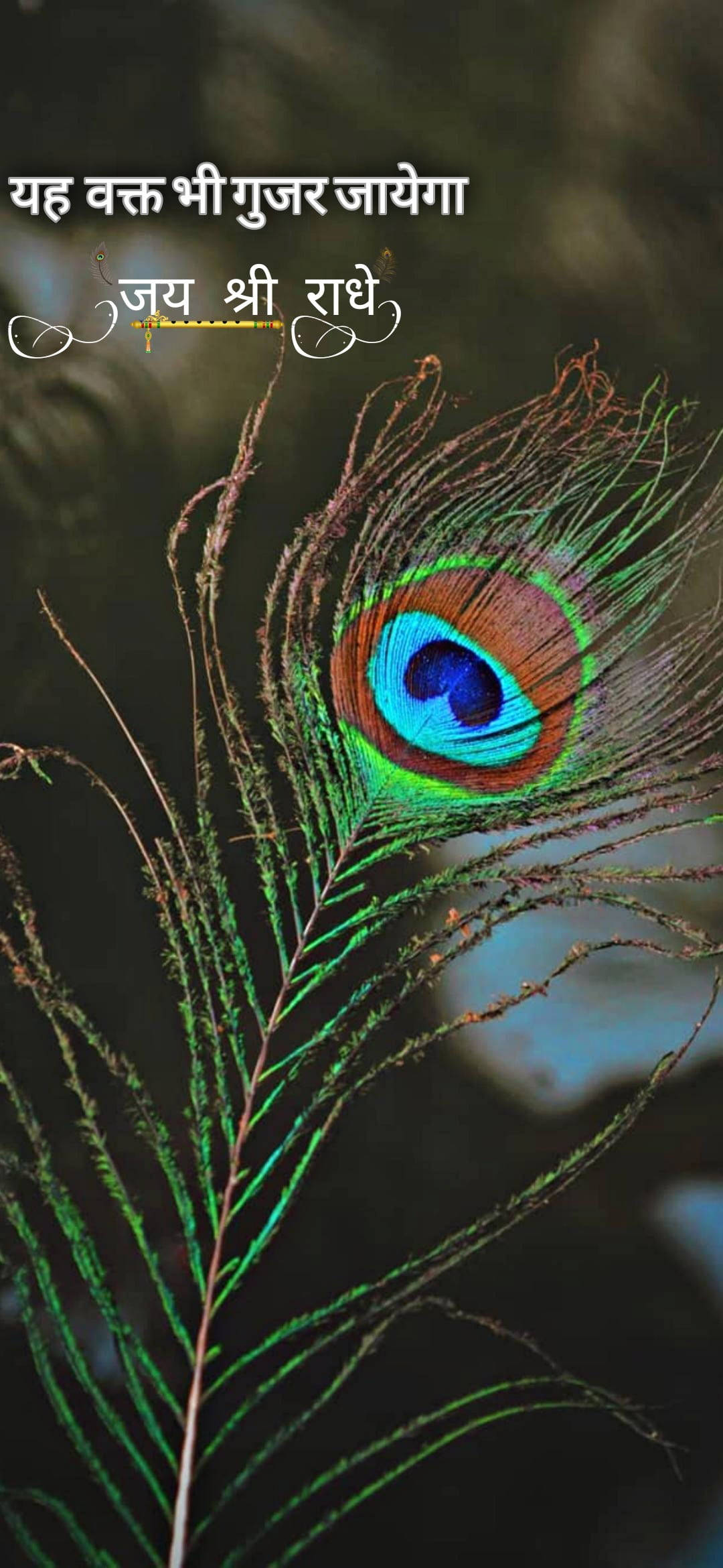Shree Ram Peacock Feather Fundal
