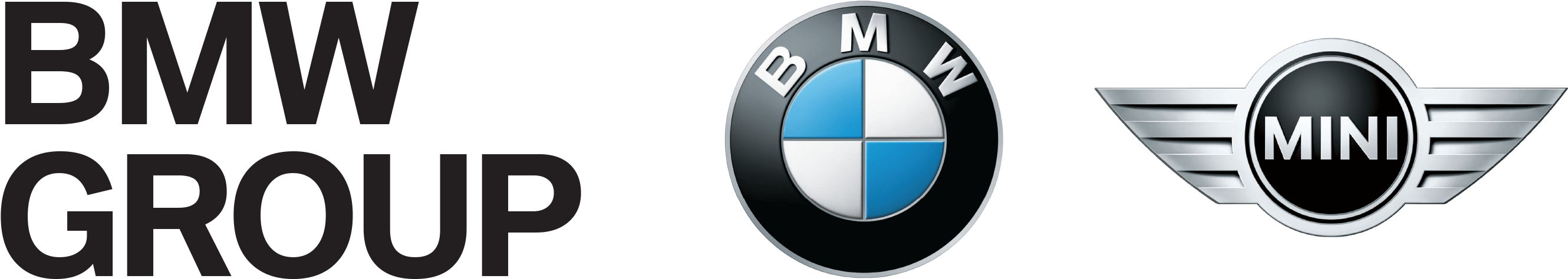 Siglele Grupului BMW Fundal