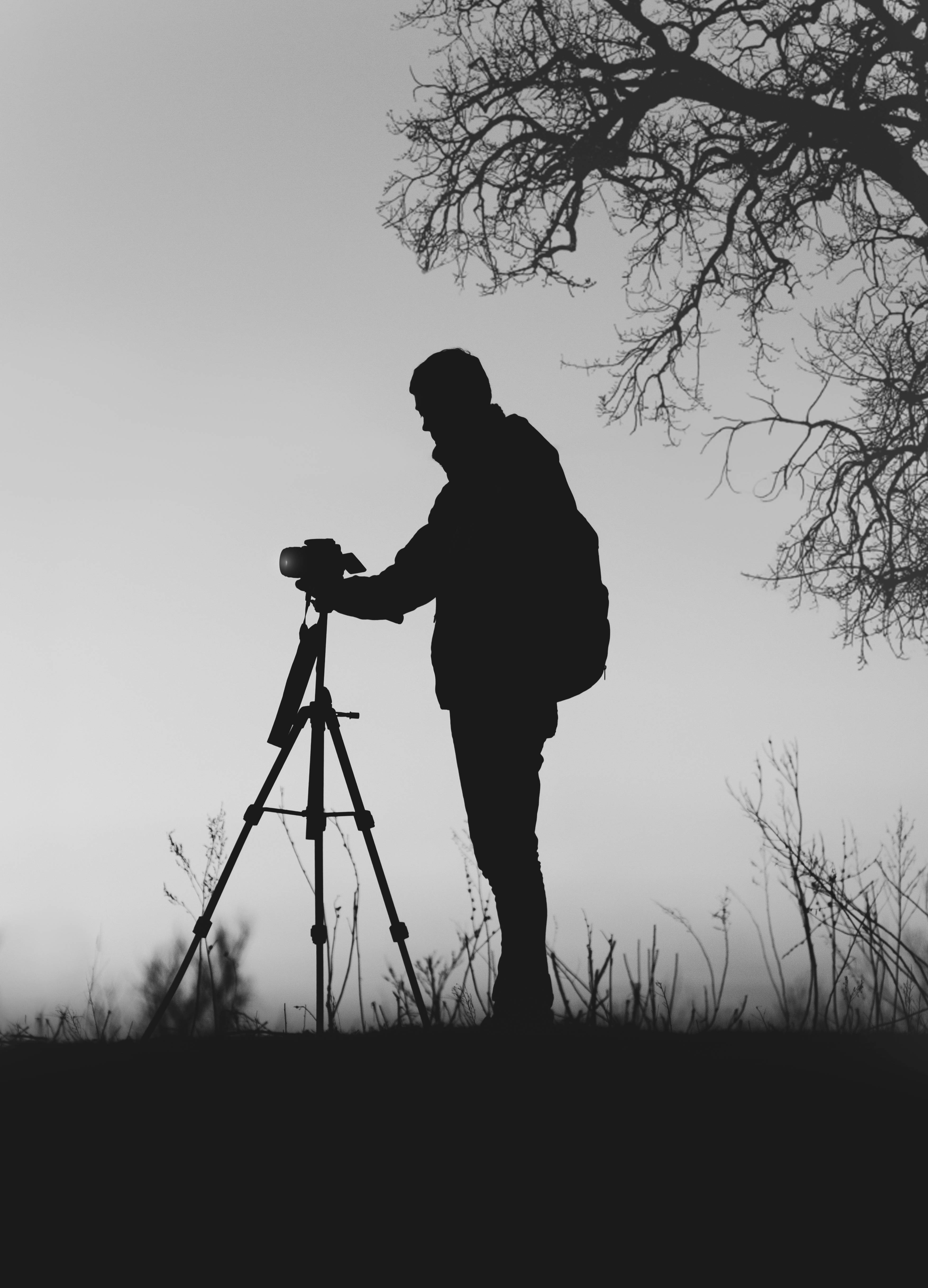 Fotografie siluetă în tonuri de gri Fundal