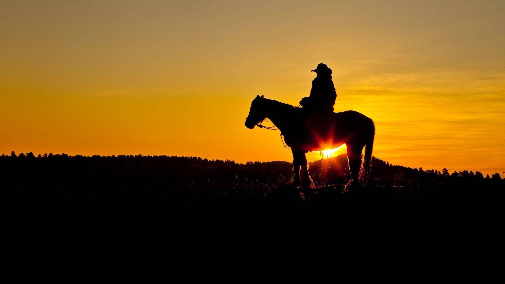 Siluetă de cowboy american Fundal