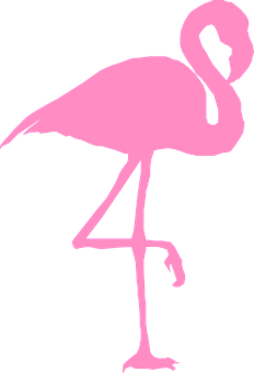 Siluetă de flamingo roz Fundal