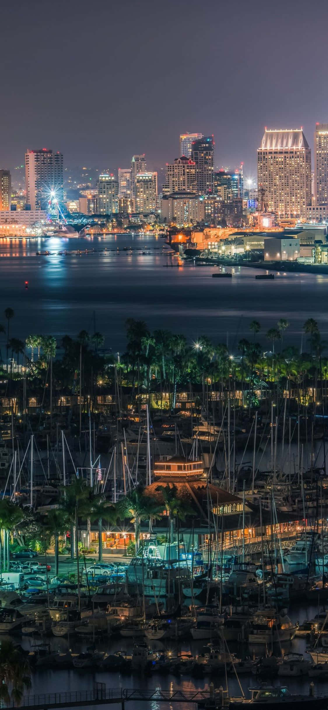silueta orașului San Diego noaptea Fundal