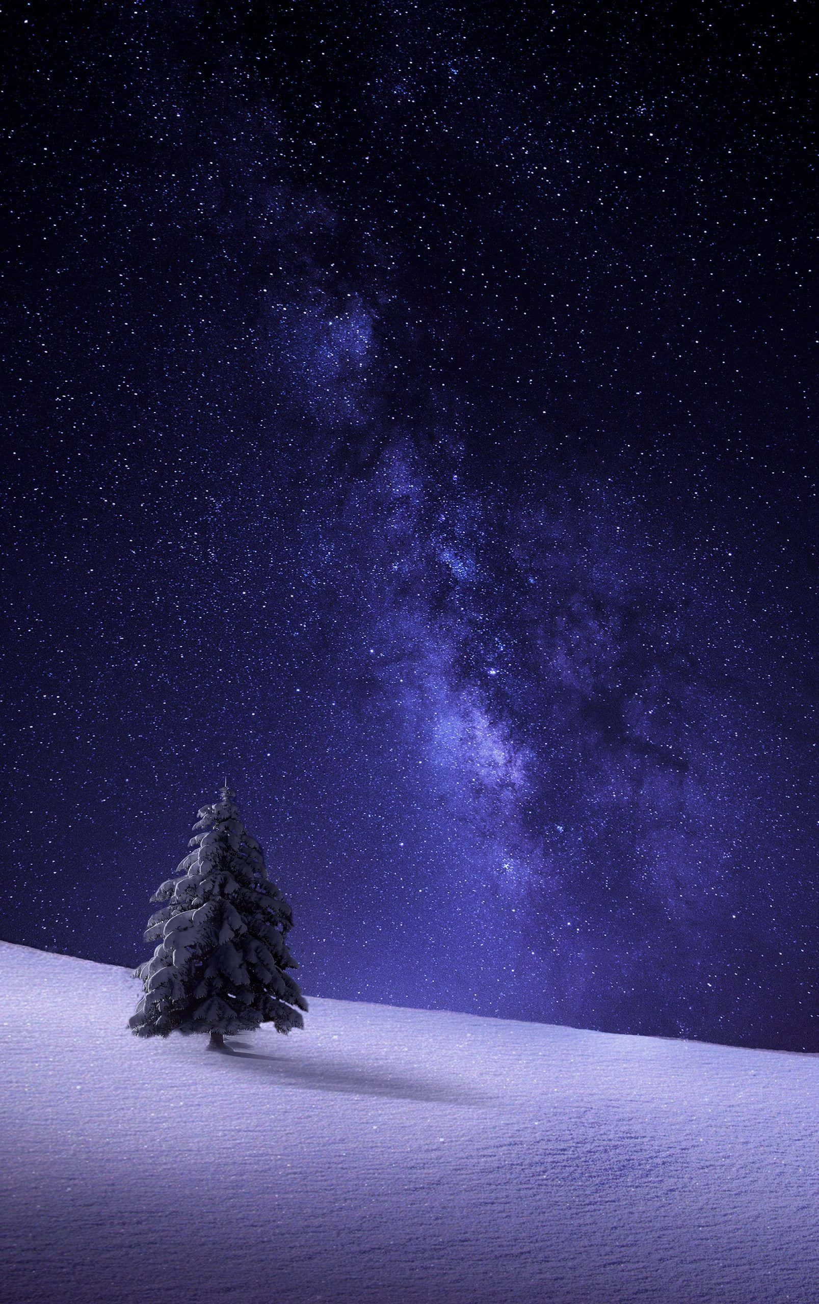 Simte frigul iernii cu Snow iPhone Fundal