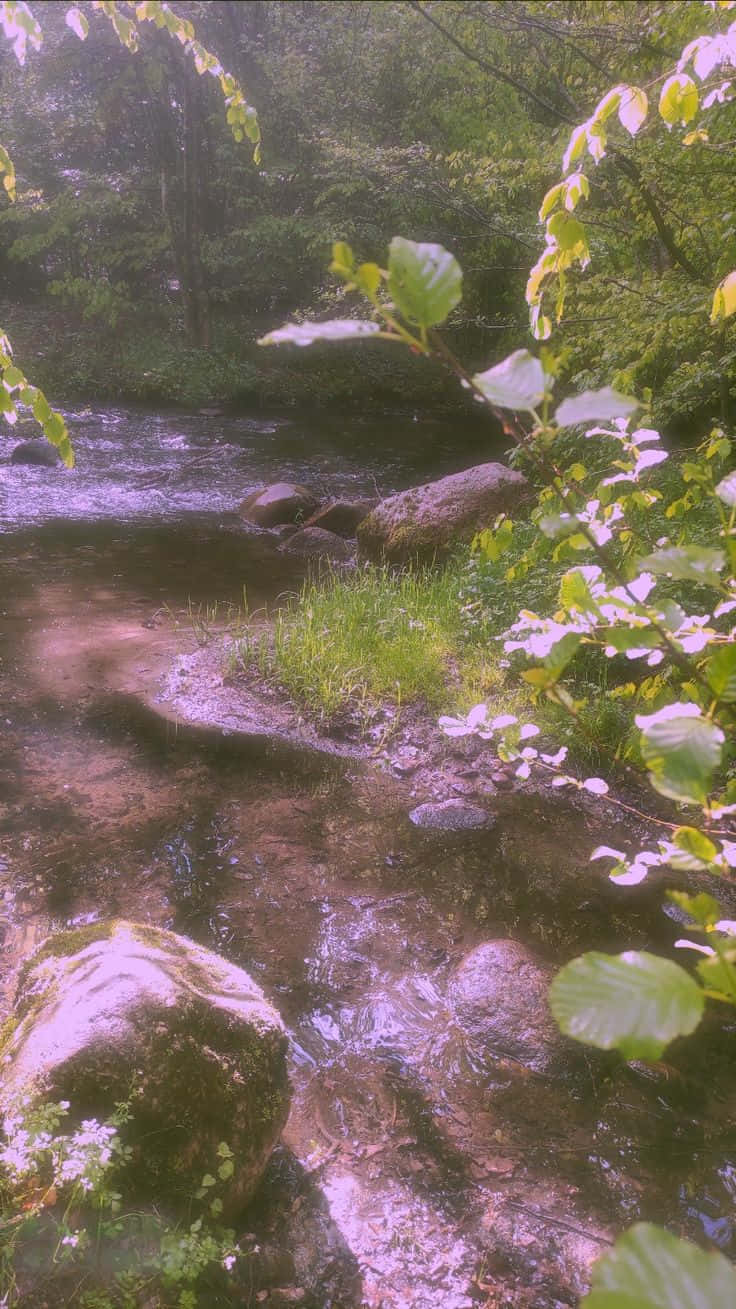 Simte magia în aer cu acest fundal superb Fairy Aesthetic! Fundal