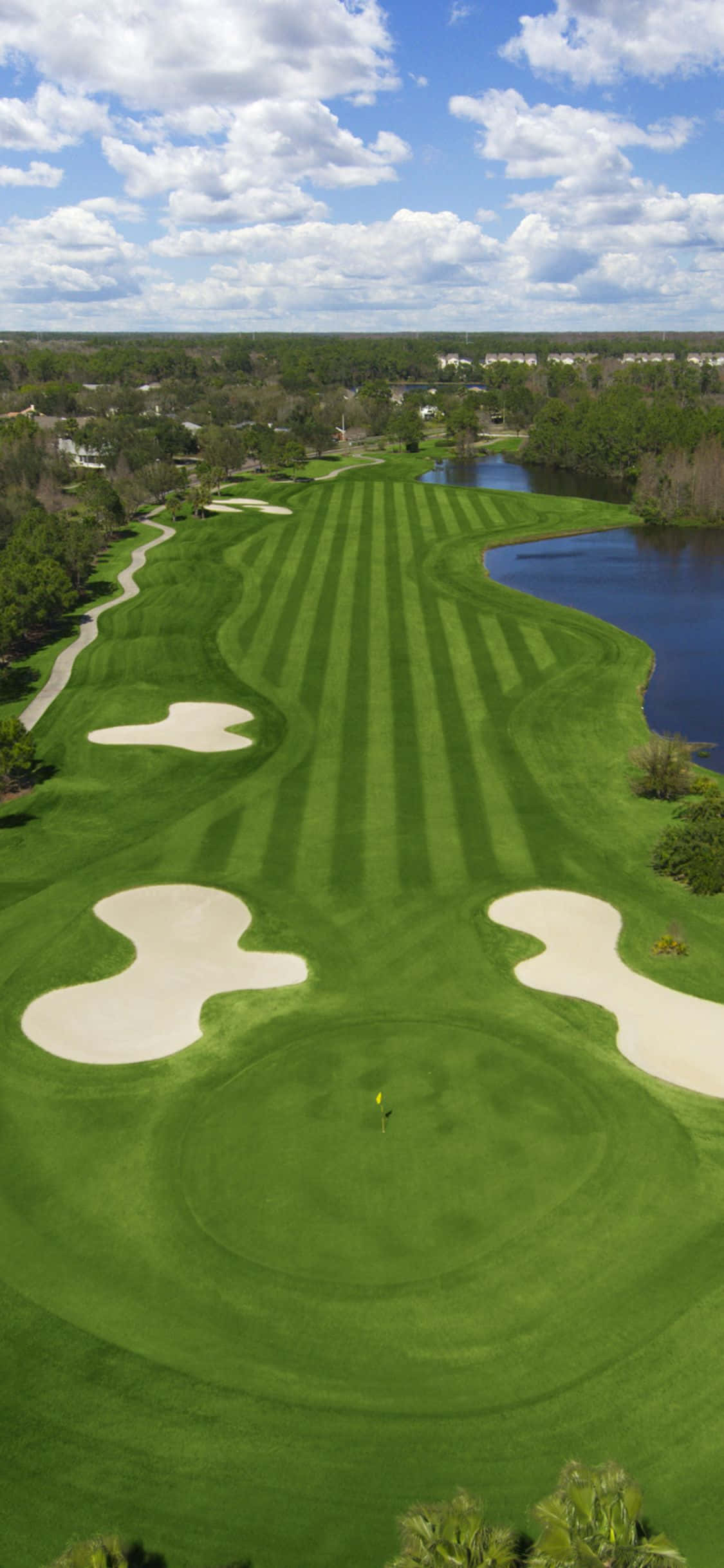 Simte relaxarea pe verdele cu fundalul unic de teren de golf pentru iPhone X Fundal