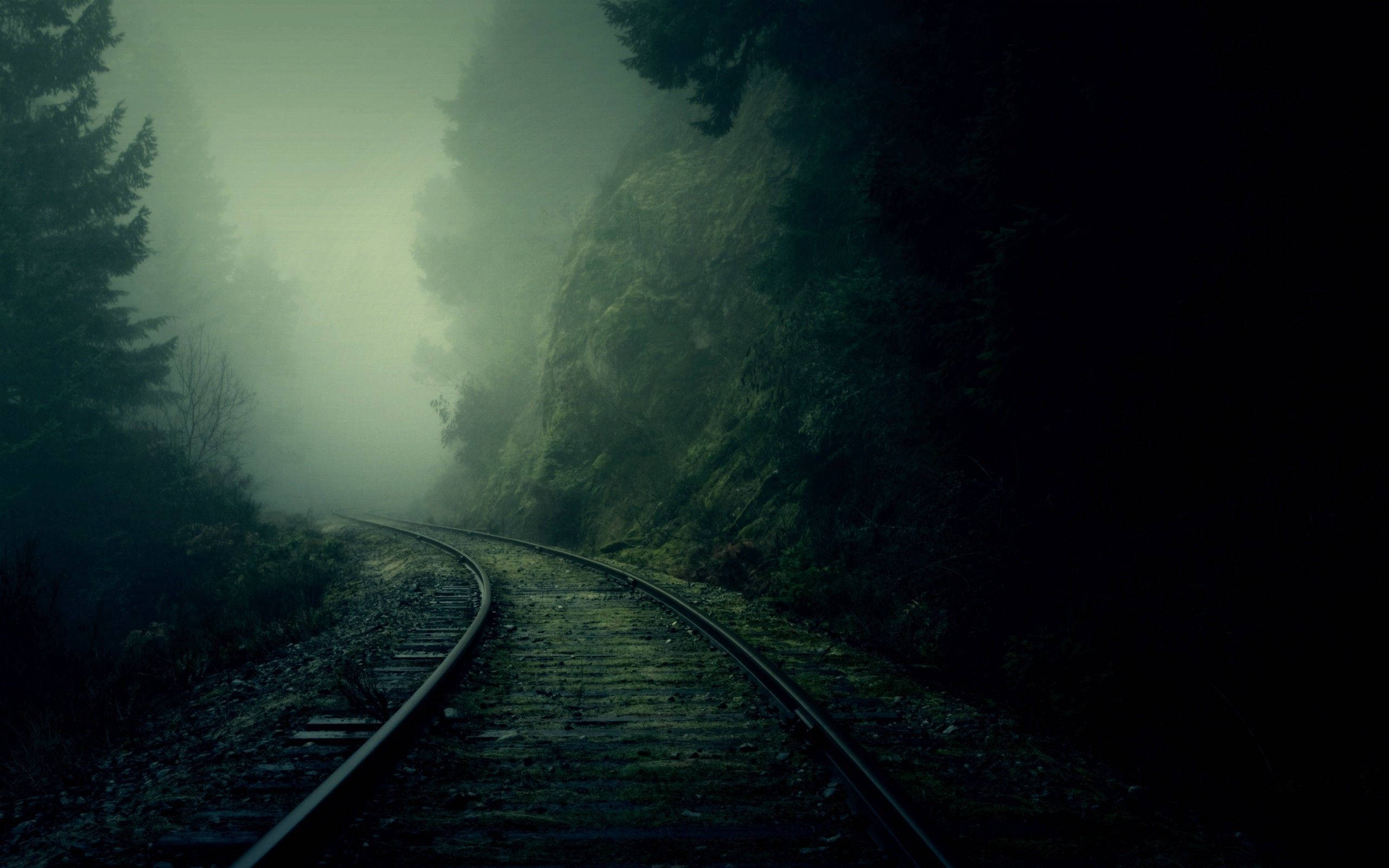 Șine de tren în natură 4K Fundal