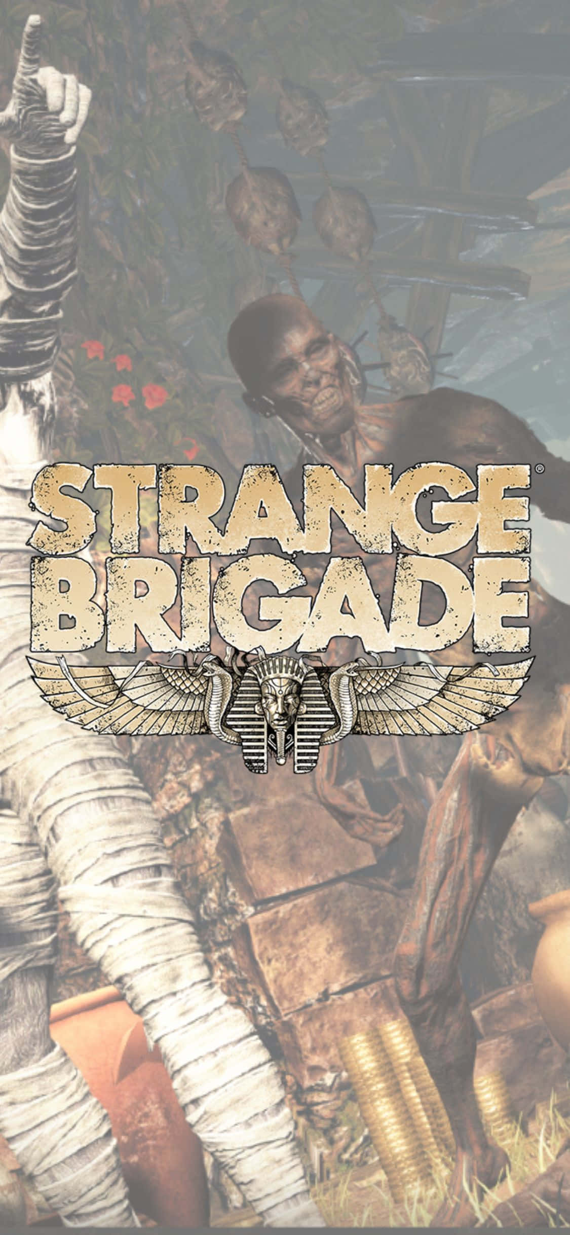 Skeleton And Wrapped Zombies iPhone X Strange Brigade Background Fundal