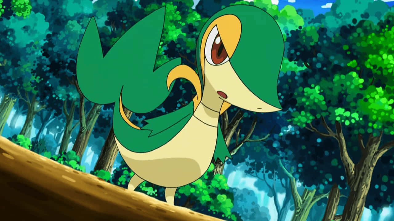 Snivy serios Fundal