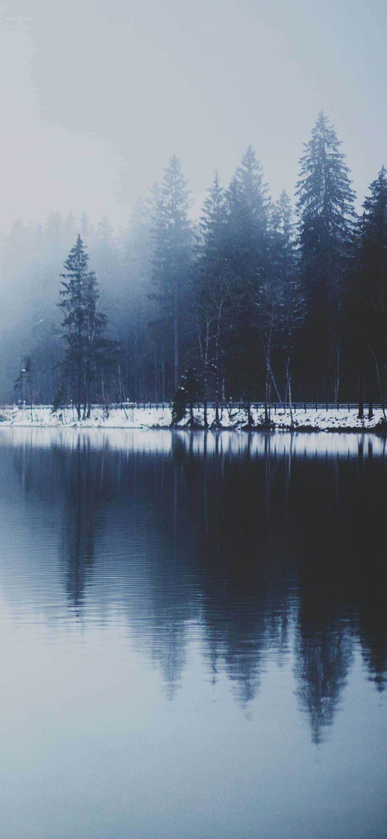 Snow iPhone captivant Fundal