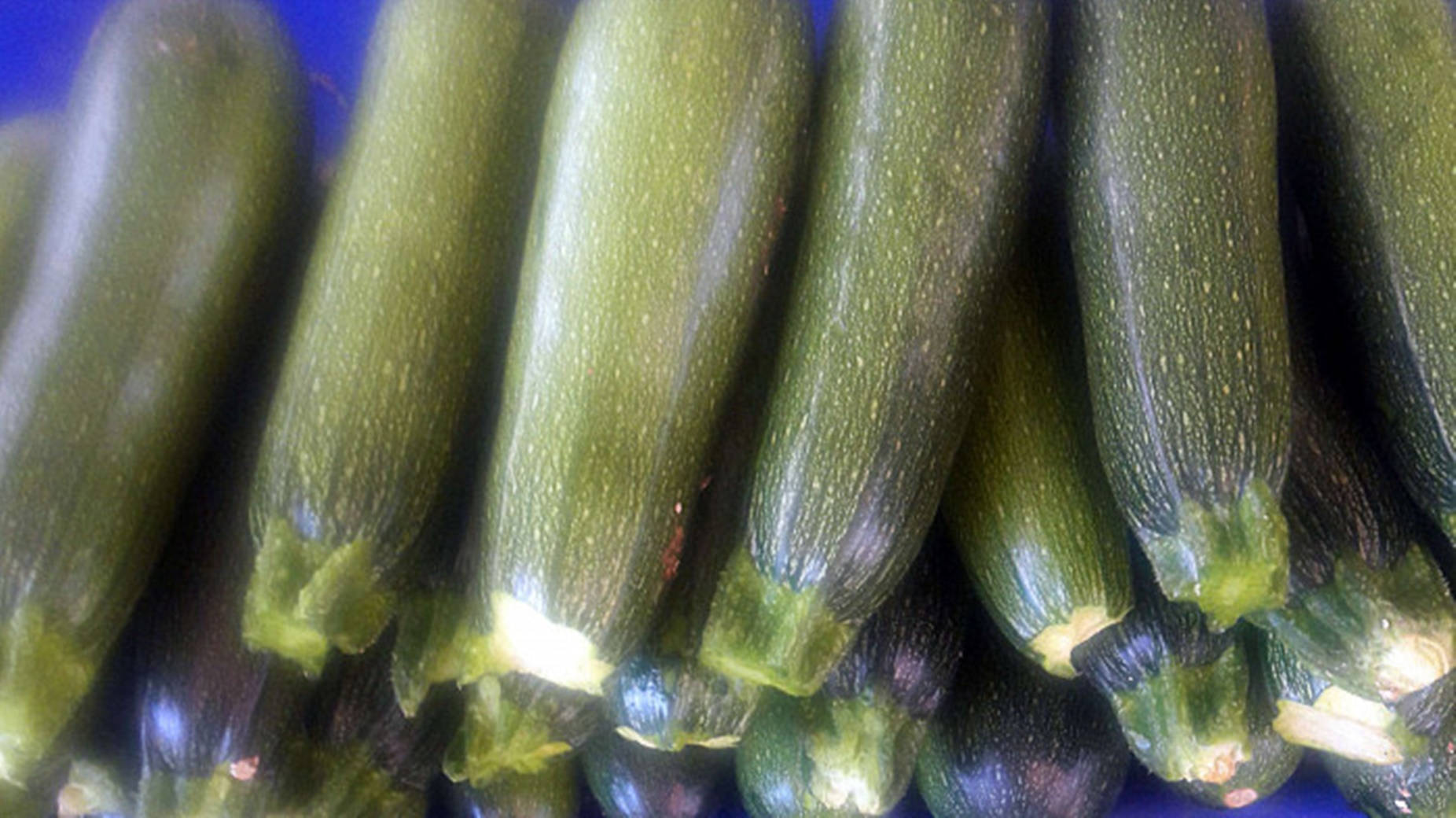 Soi de dovlecei baby marrow Fundal