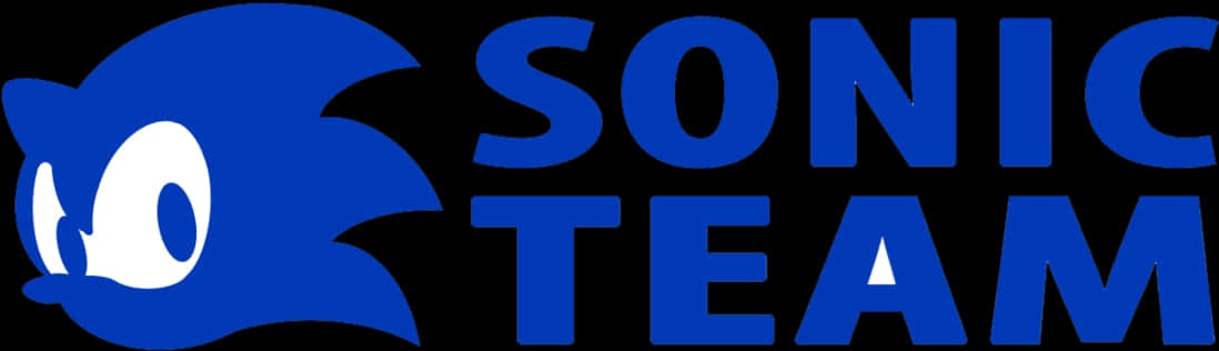 Sonic Team Logo Fundal