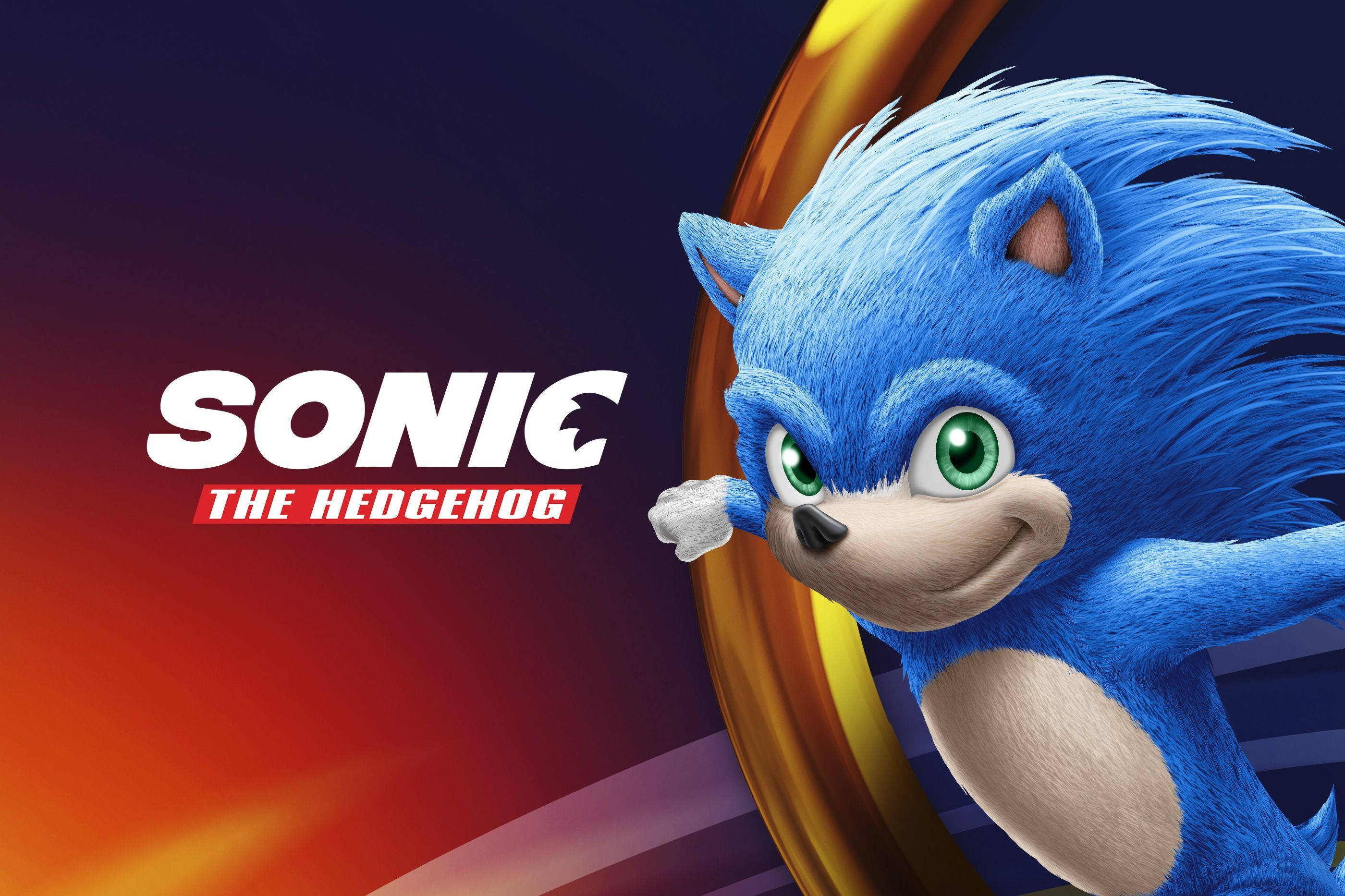 Sonic The Hedgehog Joc Nou Fundal