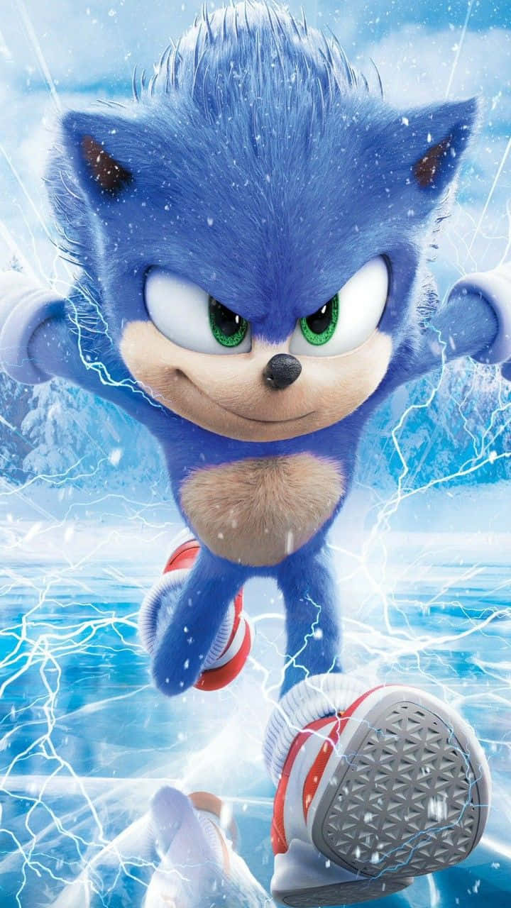 Sonic the Hedgehog - Cursa spre Linia de Sosire Fundal
