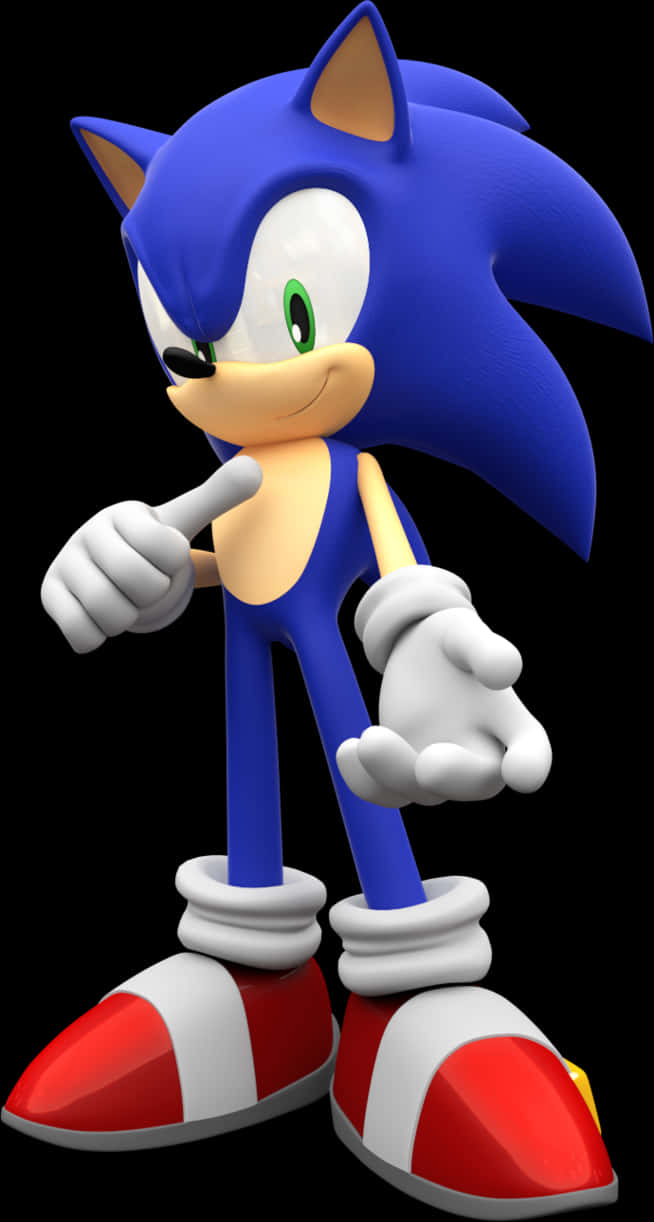 Sonic The Hedgehog Posing Fundal