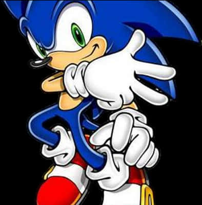 Sonic the Hedgehog Poziție Clasică Fundal